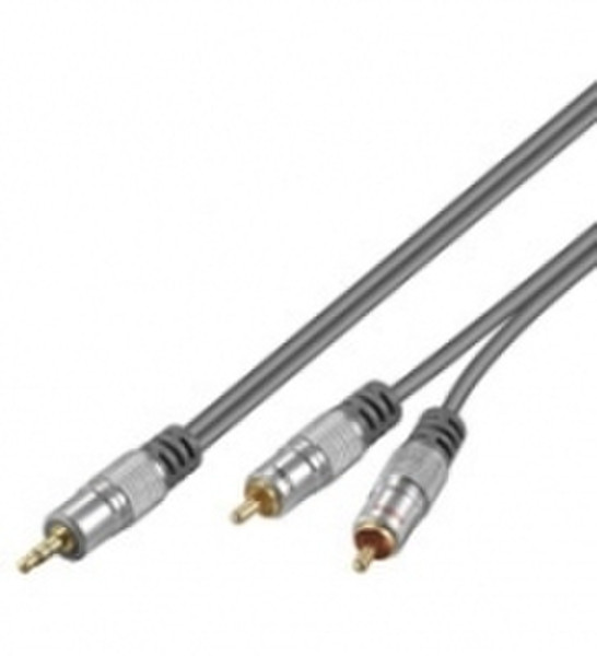 Wentronic HT 90-250 2,5m 2.5m 3.5mm 2 x RCA audio cable