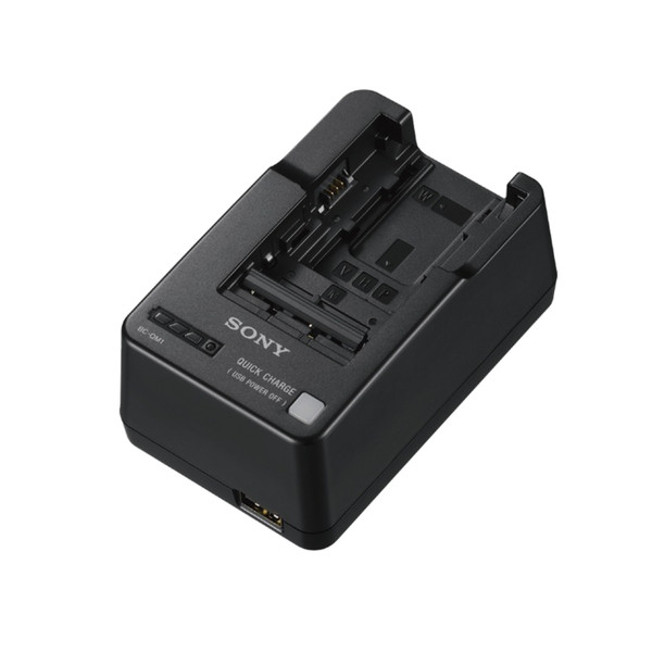 Sony BCQM1 Indoor battery charger Черный зарядное устройство