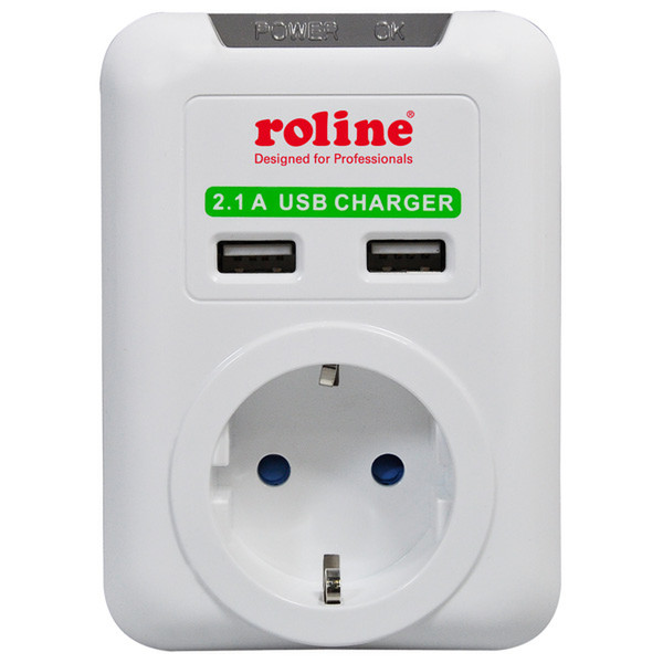ROLINE Power Wall Outlet, 2x USB Charger Белый адаптер питания / инвертор