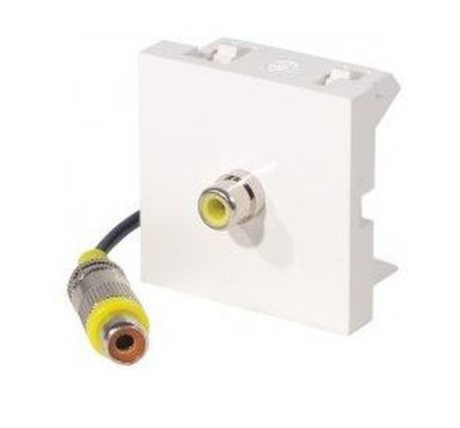 Dexlan 102540 White socket-outlet