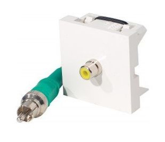 Dexlan 102510 White socket-outlet