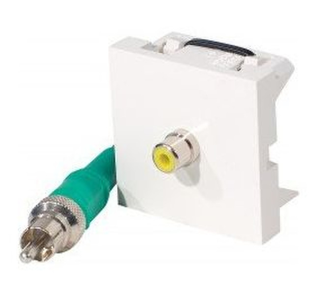 Dexlan 102520 White socket-outlet