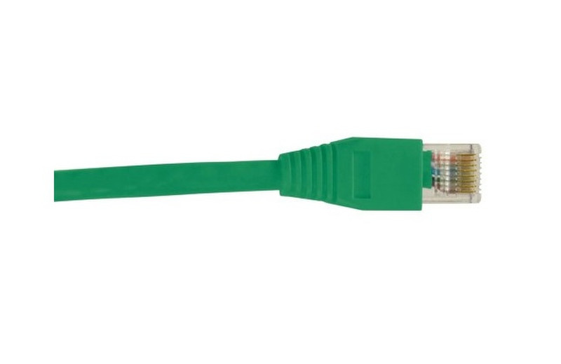AU Optronics UTP5EGN10-C сетевой кабель