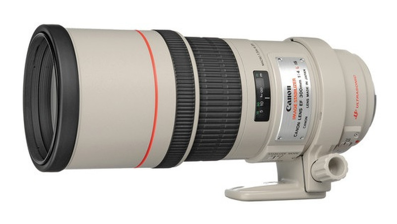 Canon EF 300mm f/4.0L IS USM