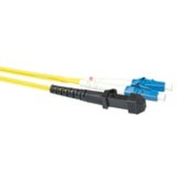Intronics MTRJ-2XLC 9/125 Duplex 5.0m 5m fiber optic cable