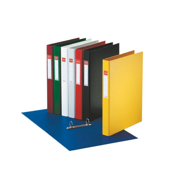 Esselte Plastic binder Ringmappe