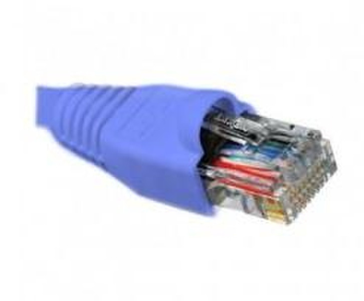 Nexxt Solutions 2.31m RJ-45 Cat6