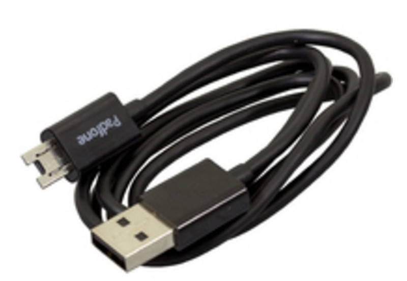 ASUS 13-Pin/USB