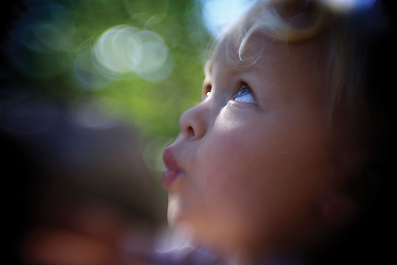 ᐈ Lensbaby Muse • Compare prices • Technical specifications.