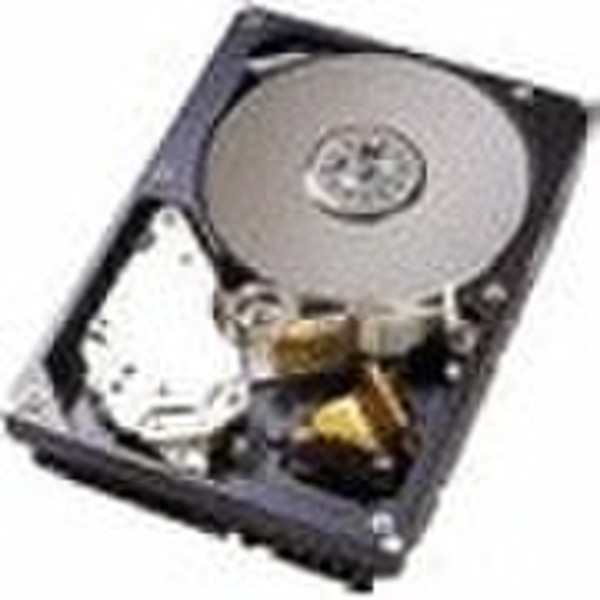 IBM 1TB SAS 1000GB SAS internal hard drive