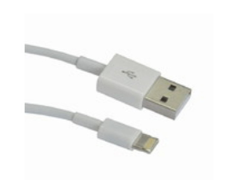 eSTUFF ES20963 3м USB A Lightning Белый кабель USB