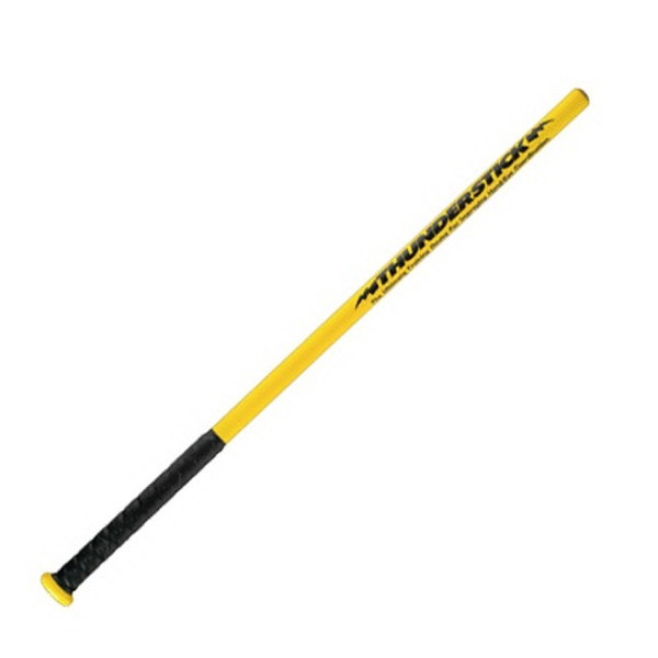 Easton Thunderstick T10 33" baseball bat