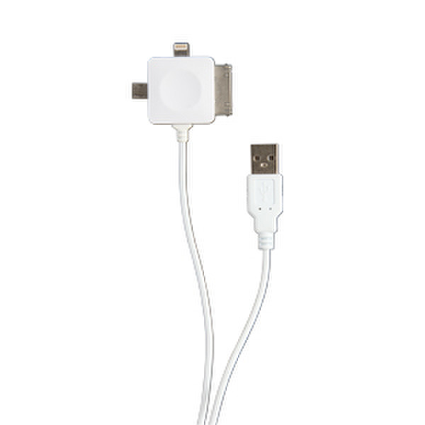 STK DLU3IN1IP5/PP3 USB cable