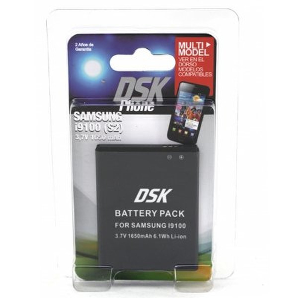 DSK 40202 Lithium-Ion 1650mAh 3.7V rechargeable battery