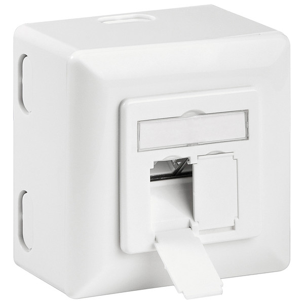 Wentronic 68572 RJ-45 White socket-outlet