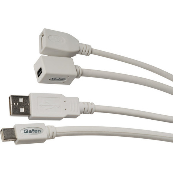 Gefen CAB-MDPUSBN-10MF 3m Mini DisplayPort USB Weiß USB Kabel