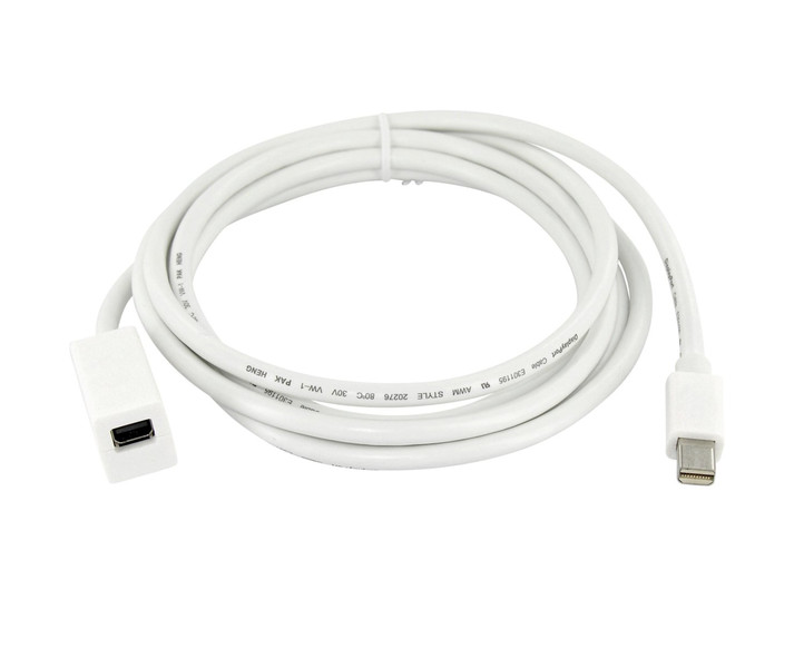 Application Systems Heidelberg Mini DisplayPort F/M 1m