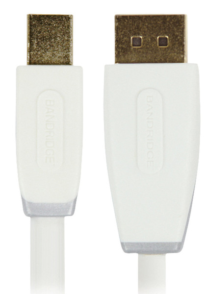 Bandridge BBM37400W10 DisplayPort-Kabel