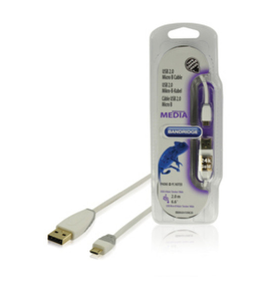 Bandridge BBM60410W20 USB cable