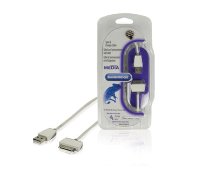 Bandridge BBM39100W20 USB cable