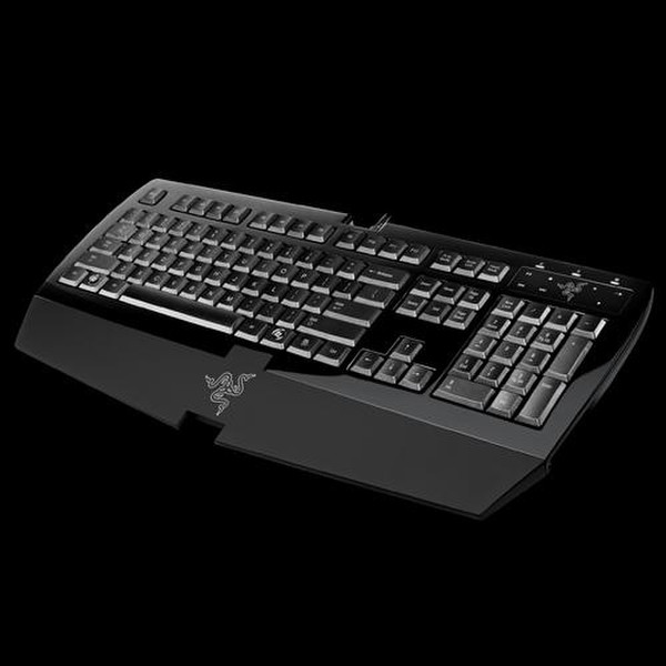 Razer ARCTOSA, US USB Cеребряный клавиатура