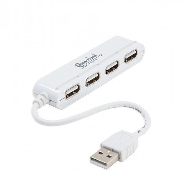 Connectland CL-U2MNHUB-4W USB 2.0 480Мбит/с Белый хаб-разветвитель