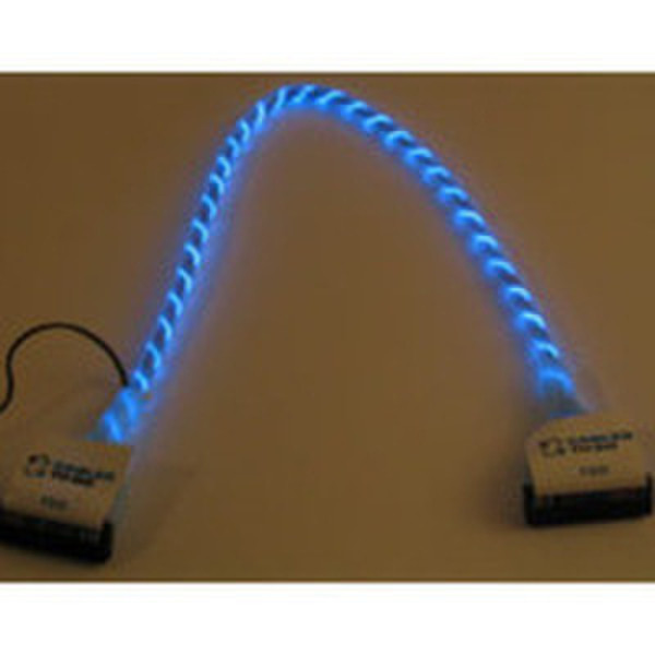 C2G 24in Go!Mod Molded Round 1-Device Floppy Cable / Neon String - Blue Weiblich/weiblich