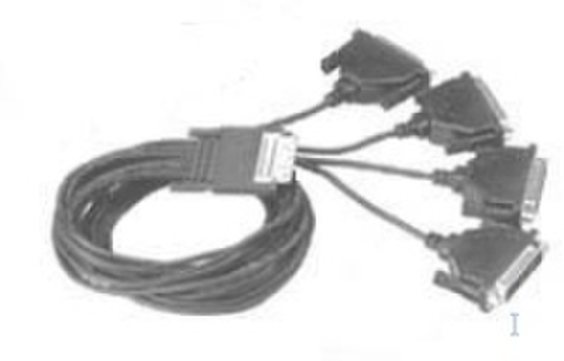 Digi 4-Port DB-25M Straight Fan-Out Cable 1m
