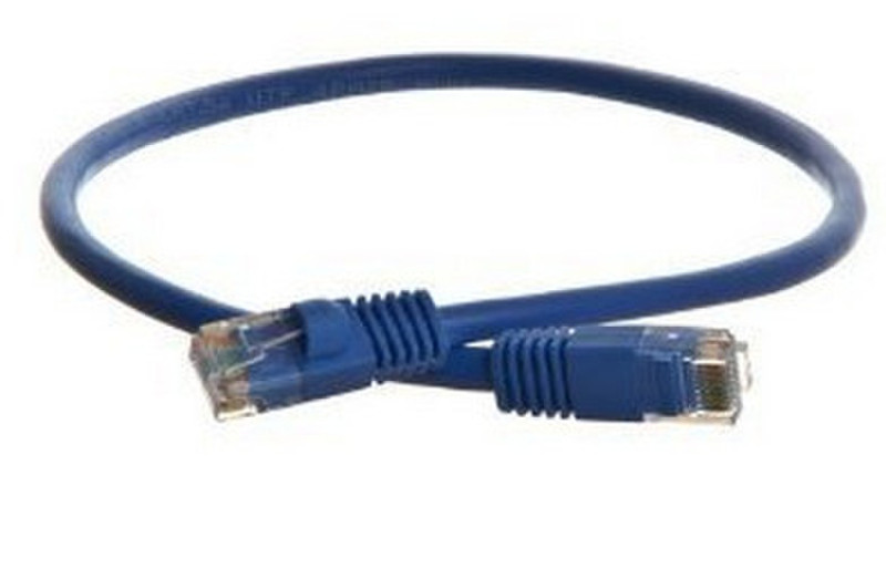 RiteAV Cat6 2ft