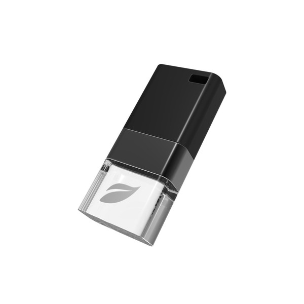 Leef 16GB Ice 2.0 16GB USB 2.0 Schwarz USB-Stick