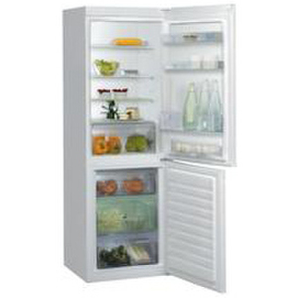 Ignis TGA340/EG freestanding 347L White fridge-freezer