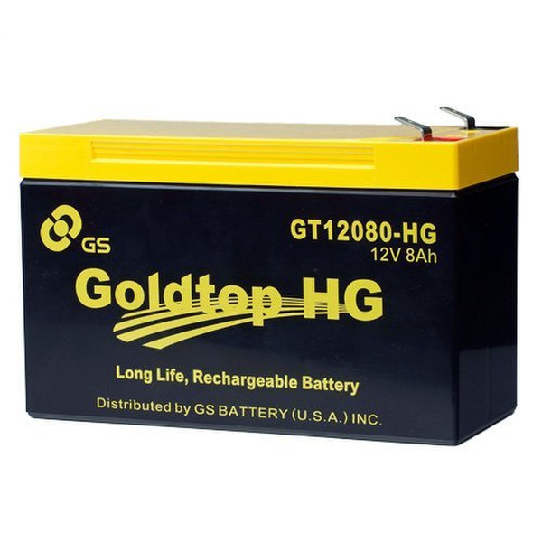 GS Battery GT12080-HG rechargeable battery