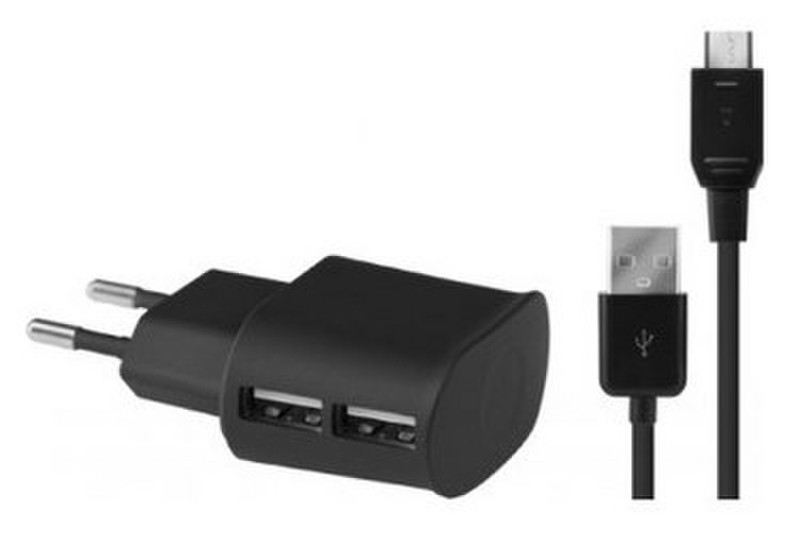 BLUEWAY MINICSMICROUSB2A mobile device charger