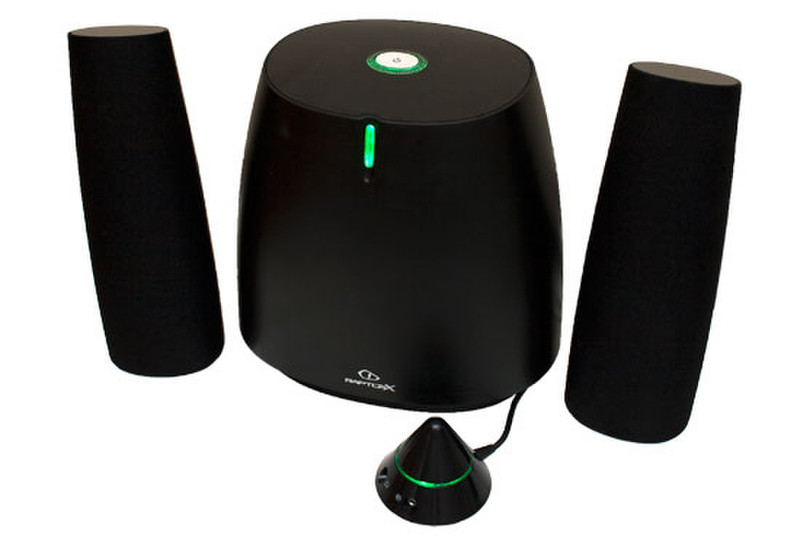 Raptoxx RT-2020 40W Black loudspeaker