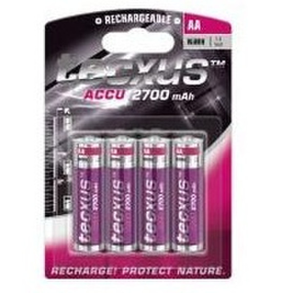 Tecxus 23745 Wiederaufladbare Batterie / Akku