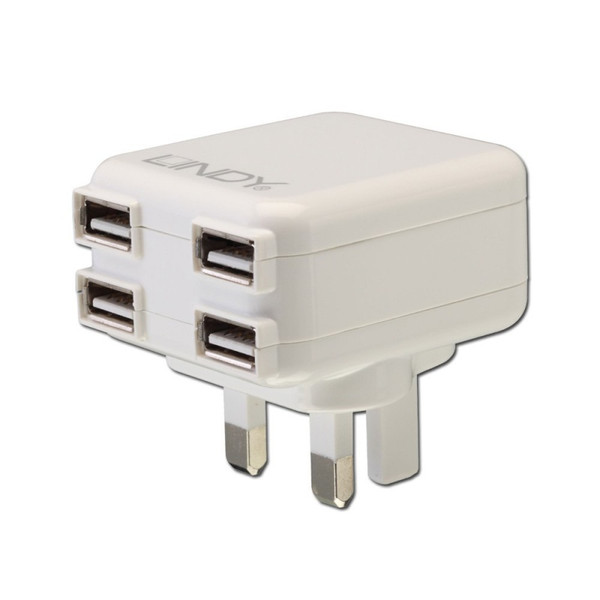 Lindy 73353 mobile device charger