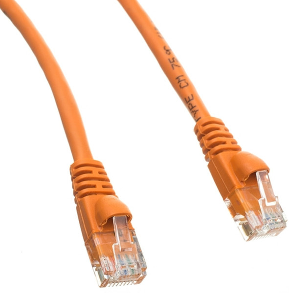 CableWholesale 10X8-03102 сетевой кабель