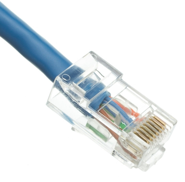 CableWholesale 10X8-16150 сетевой кабель