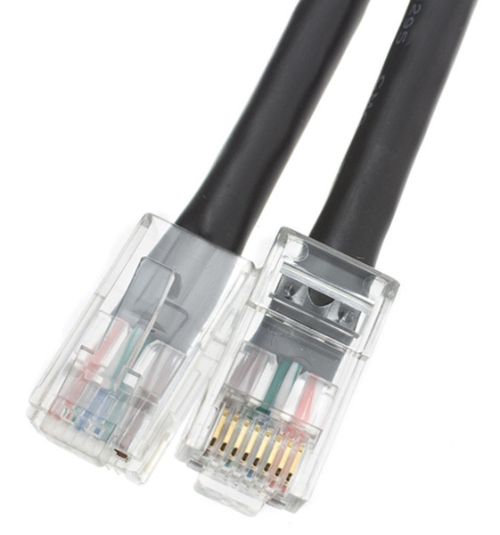 CableWholesale 10X8-12203 сетевой кабель