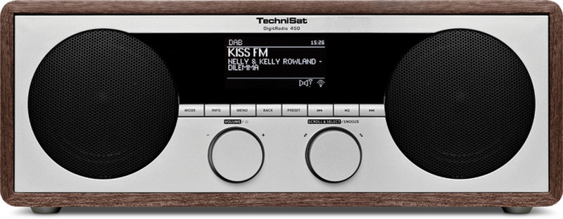 TechniSat DigitRadio 450 Персональный Analog & digital Серый, Деревянный радиоприемник