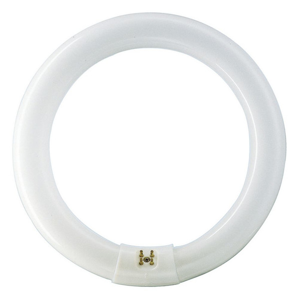 Philips TL-E Super 80 Circular fluorescent 928026383074