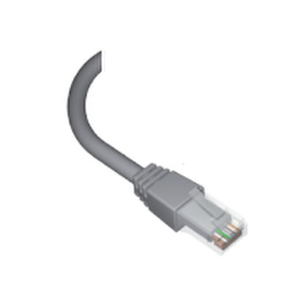 Brand-Rex GPCPCU010-888HB 1m Cat5e U/UTP (UTP) Grey networking cable