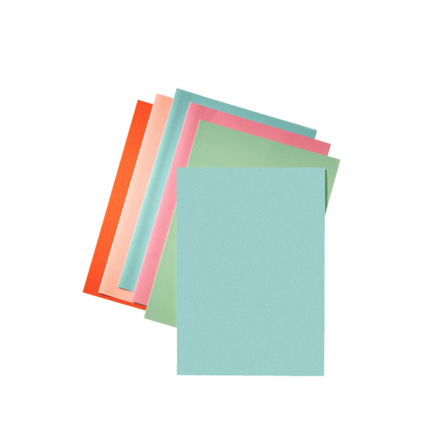 Esselte Inlay Folders Blue folder
