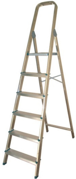Altipesa 8421446003066 ladder