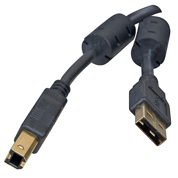 IronKey PROFESSIONAL AM-BM USB 2.0
