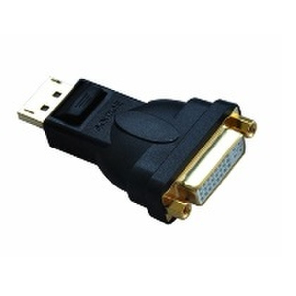 Astrotek DisplayPort - DVI-I M/F