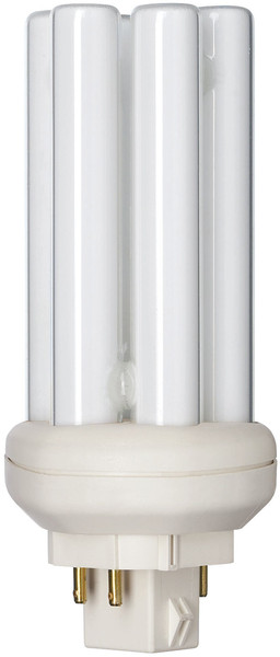 Philips 61099770 18Вт A Холодный белый energy-saving lamp