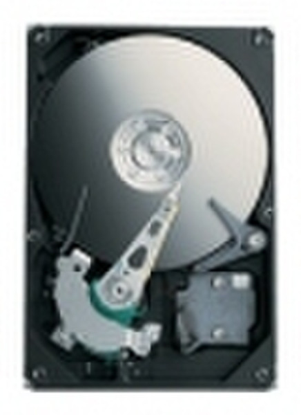 Seagate Basics 160 GB ATA 160GB Ultra-ATA/100 Interne Festplatte