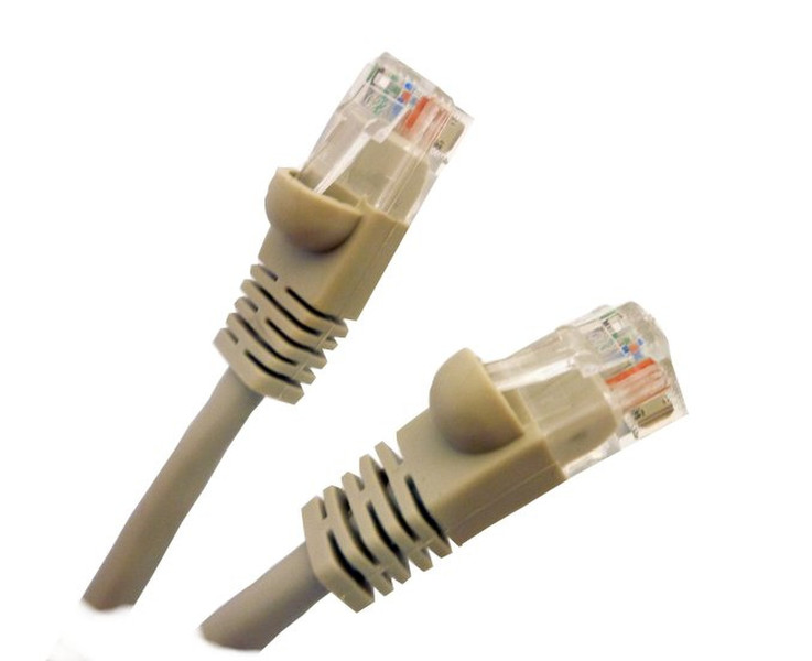 Professional Cable 25ft Cat5e