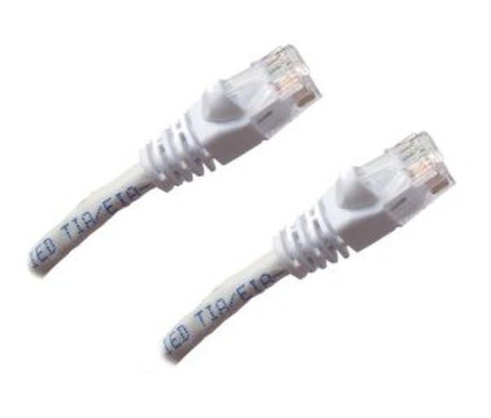 Professional Cable 25ft Cat5e